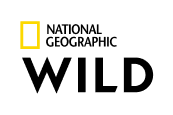 NatGeo Wild